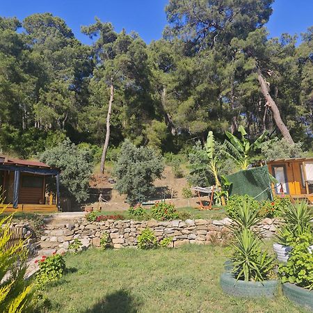 Hotel Tiny Mini House à Dalaman Extérieur photo