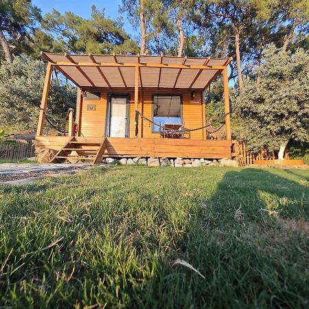 Hotel Tiny Mini House à Dalaman Extérieur photo