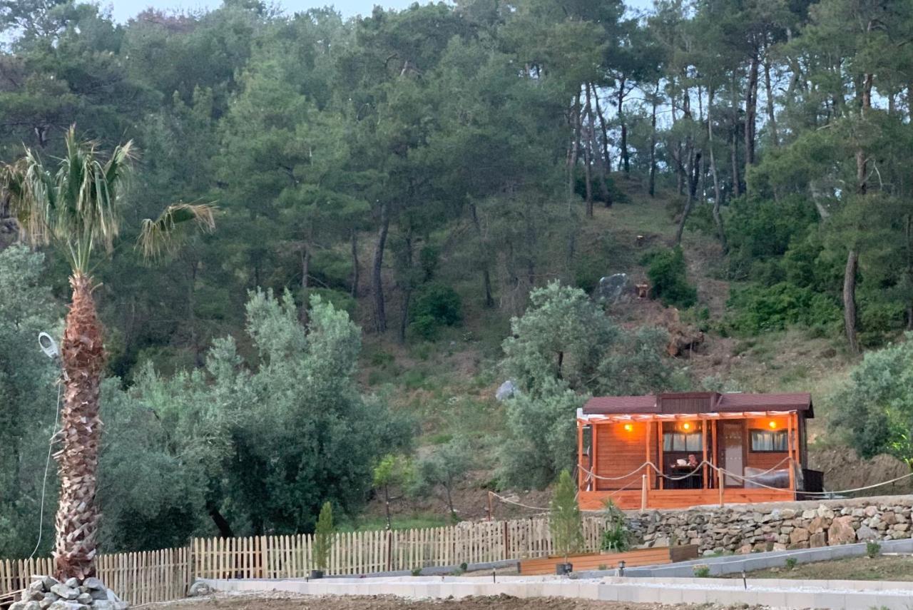 Hotel Tiny Mini House à Dalaman Extérieur photo