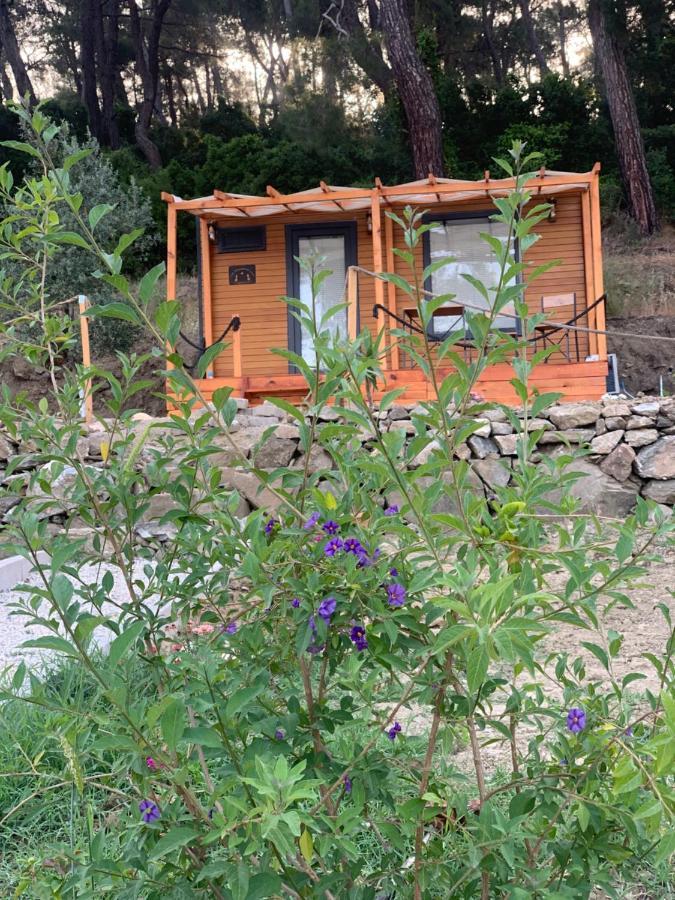 Hotel Tiny Mini House à Dalaman Extérieur photo