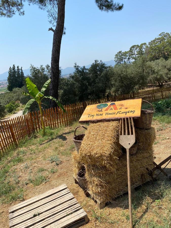 Hotel Tiny Mini House à Dalaman Extérieur photo