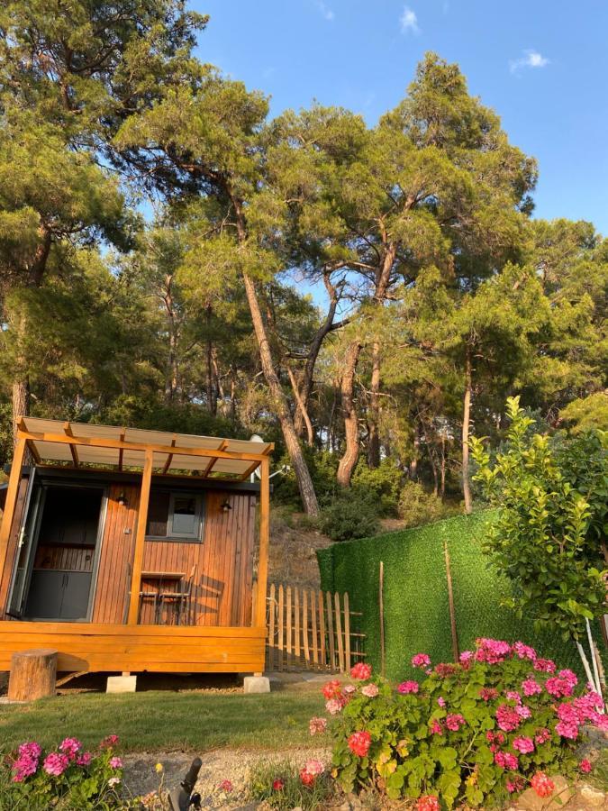 Hotel Tiny Mini House à Dalaman Extérieur photo