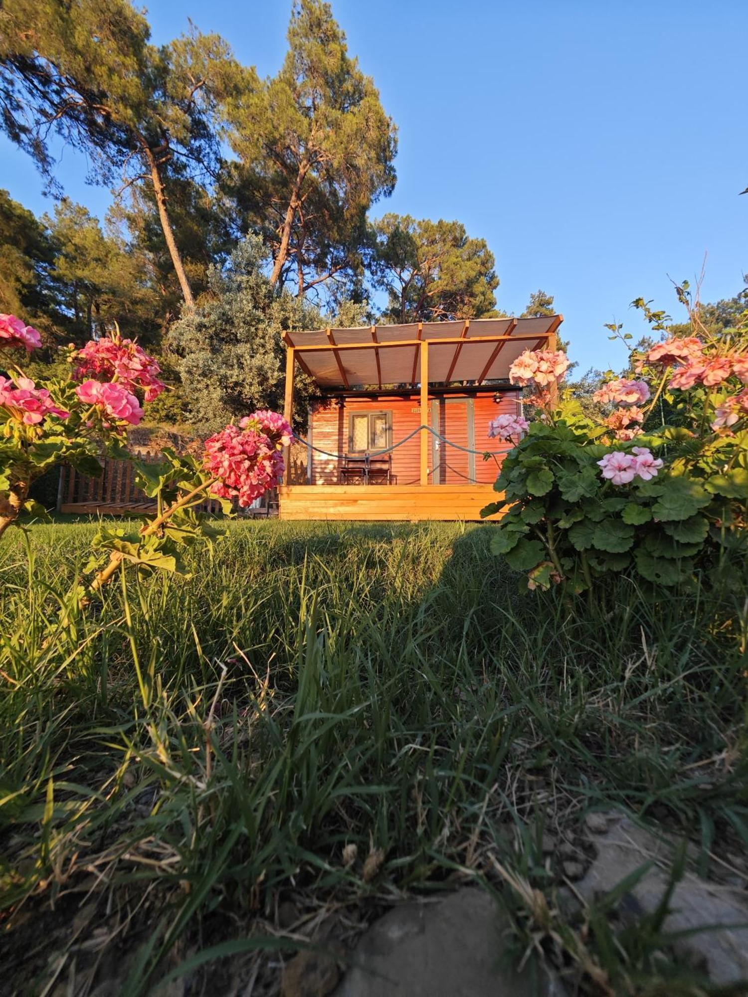 Hotel Tiny Mini House à Dalaman Extérieur photo