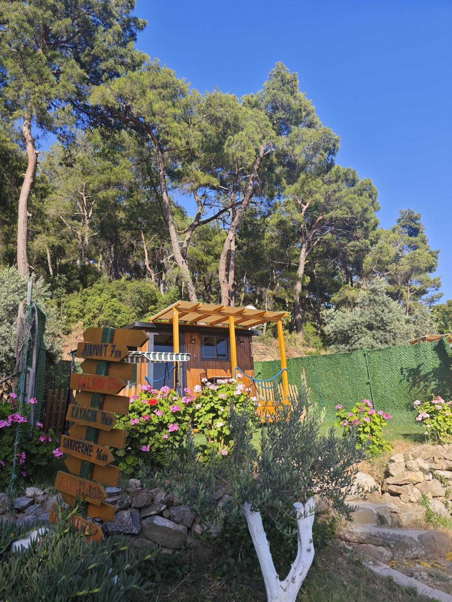 Hotel Tiny Mini House à Dalaman Extérieur photo