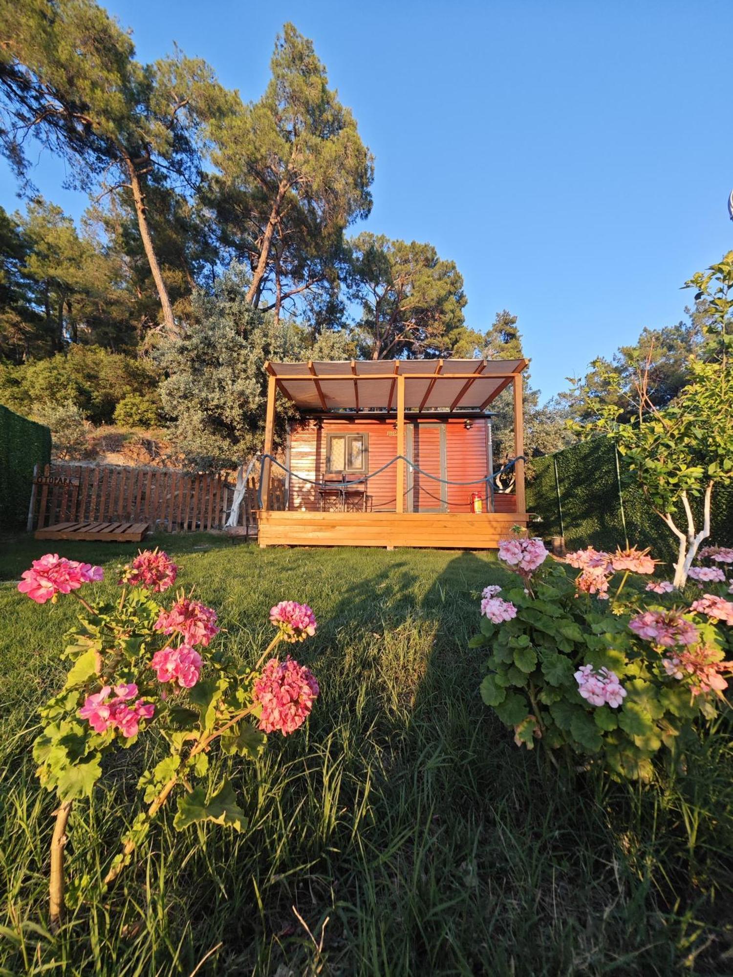 Hotel Tiny Mini House à Dalaman Extérieur photo